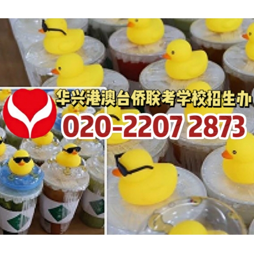 广州港澳台华侨联考辅导班