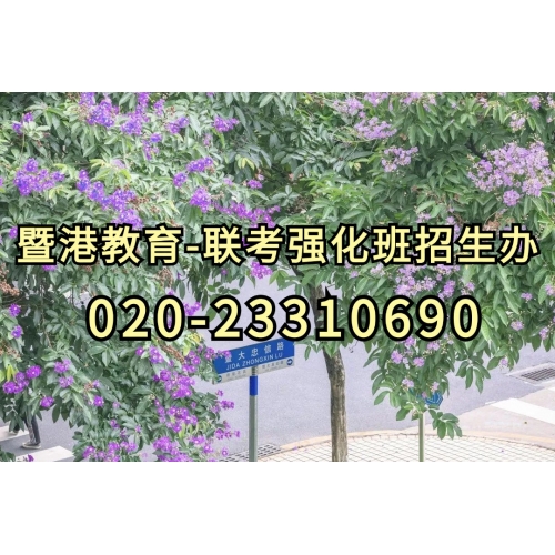 港澳台侨联考半年班